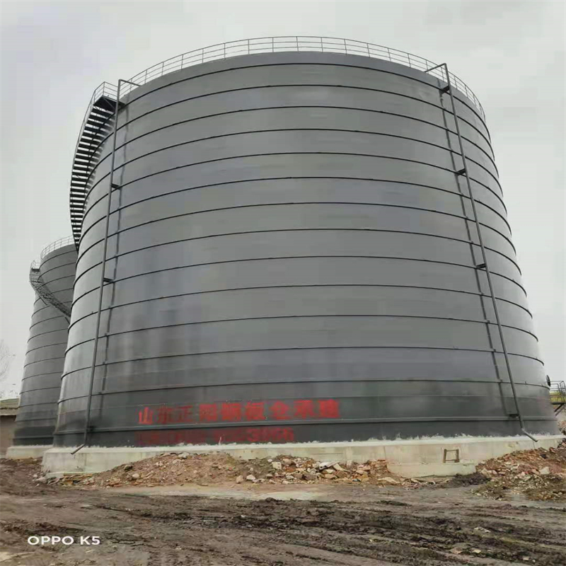 华龙3万吨大型钢板库