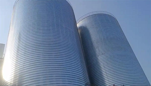 华龙2座混凝土高架卷板仓